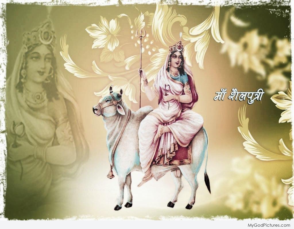 Image result for mata shailputri images