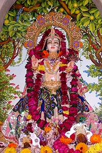 Godess Tulasi Ji