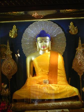 Lord Buddha Ji  Inside Mahabodhi