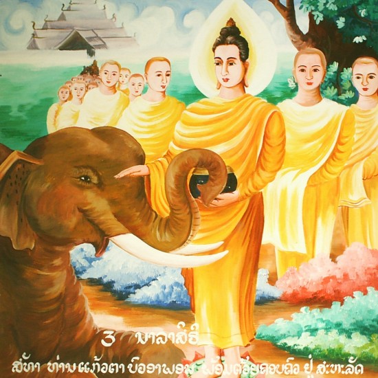 Lord Buddha With The Elephant Nalagiri