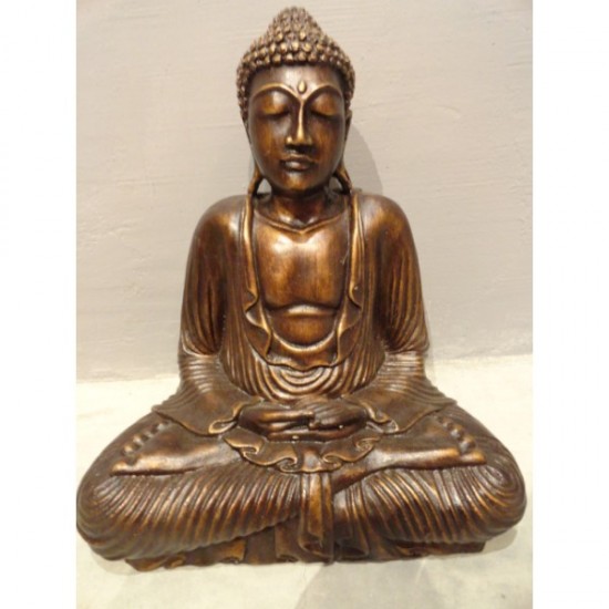 Statue Of  Buddha Ji In Meditation