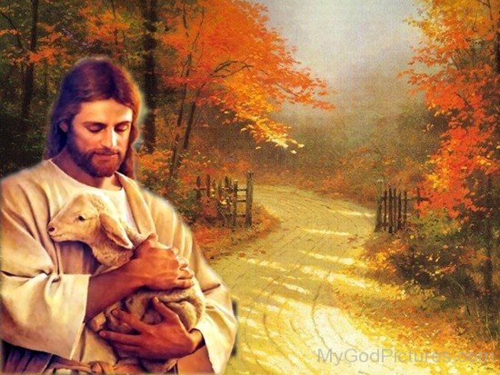 Jesus Christ Holding A Cute Lamb