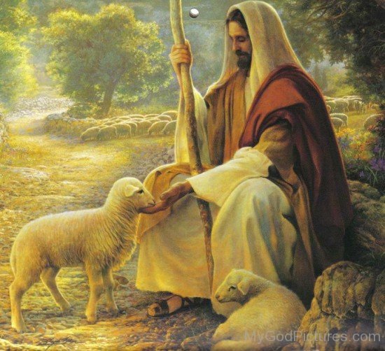 Lord Jesus Christ Picture With Lamb
