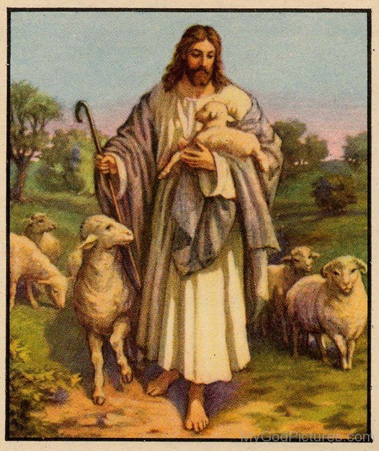 Lord Jesus Christ With Lambs