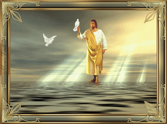 Lord Jesus In Water With Pigeon