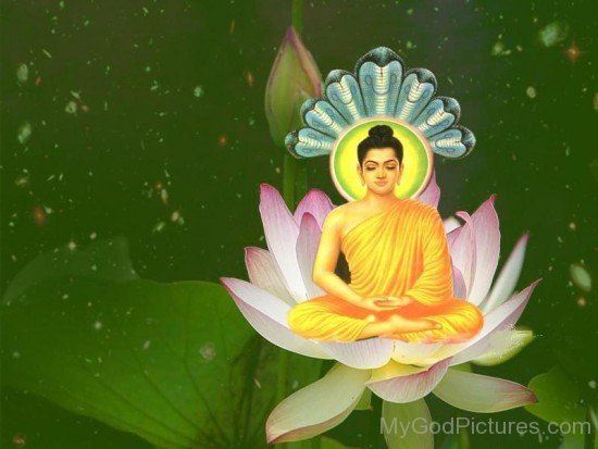 Bhagwan Buddha Ji Sitting On Flower