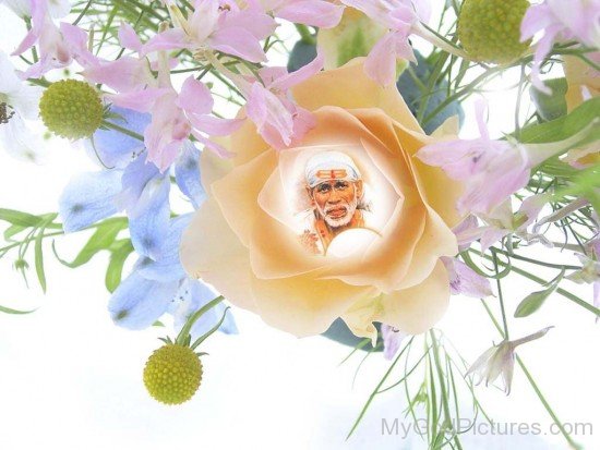 Image Of Sai Ji In Rose