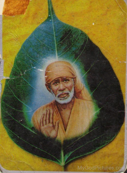 Photo Of Sai Baba Ji On Leaf