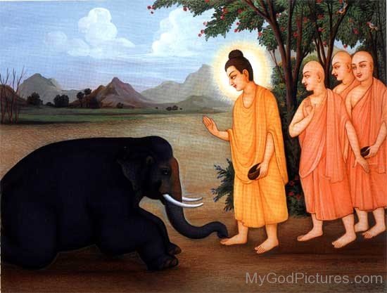 Picture Of Lord Buddha Ji With Elephant