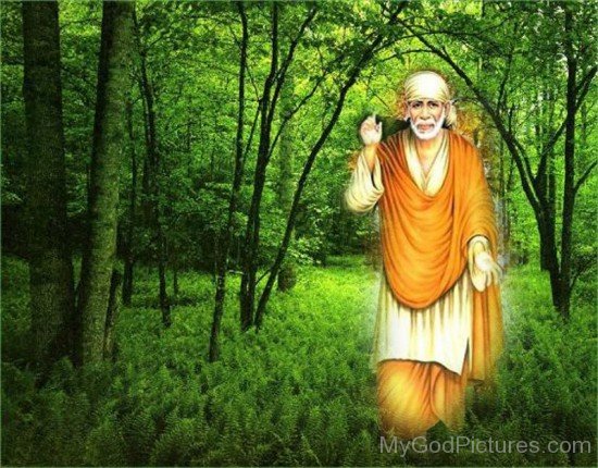 Picture Of Sai Baba Ji Walking On Grass
