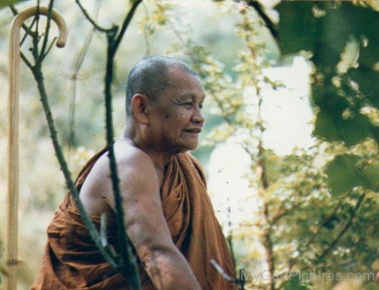 Ajahn Chah Photo