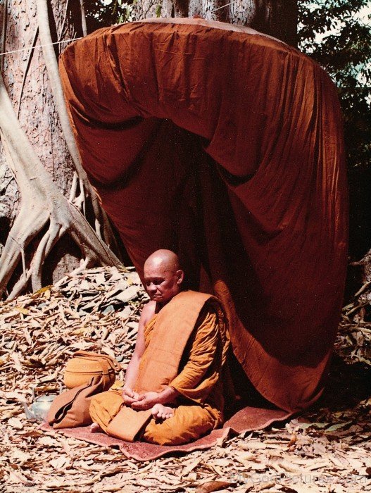 Ajahn Chah Picture