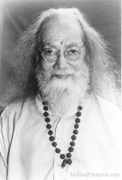 Hariharananda Giri Image