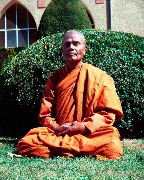 Henepola Gunaratana Sitting In Garden