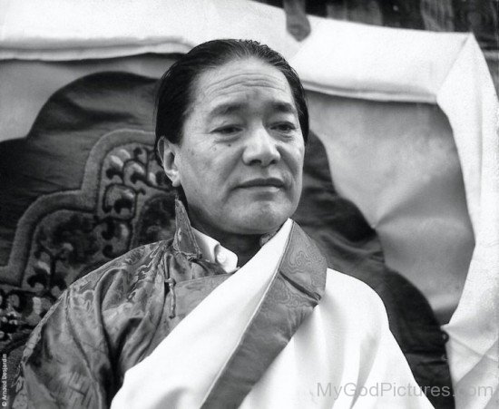 Image Of Dudjom Jigdral Yeshe Dorje