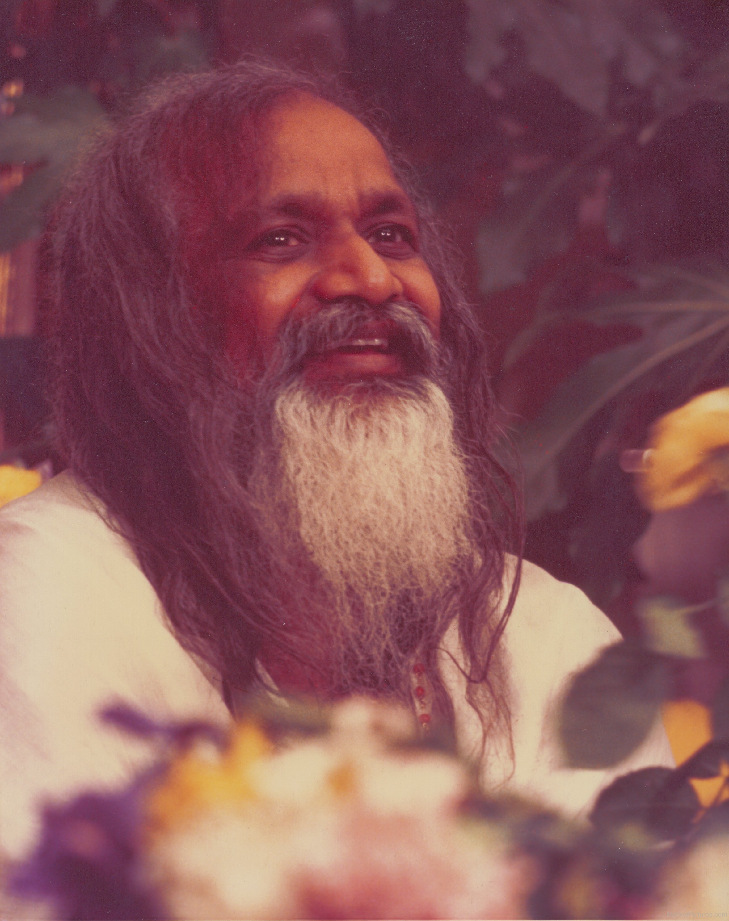 Image Of Maharishi Mahesh Yogi Ji - God Pictures