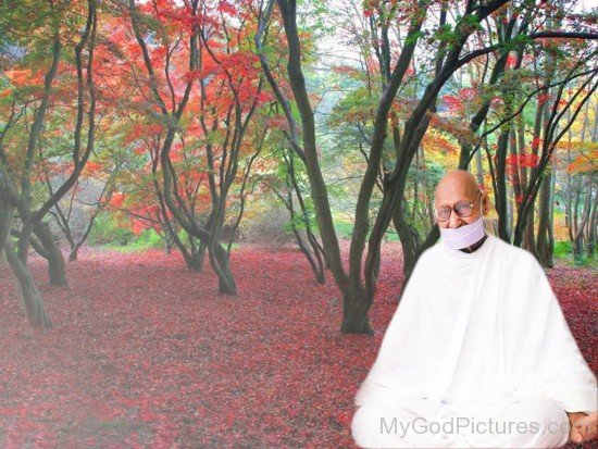 Photo Of Acharya Shri Mahapragya Ji