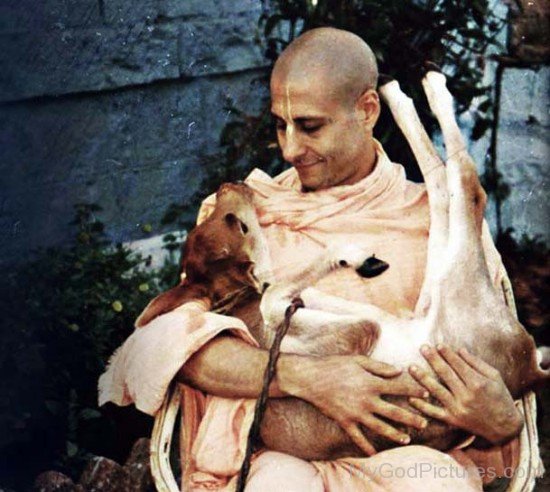 Radhanath Swami Holding Small Calf