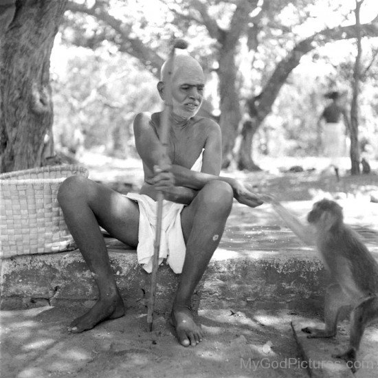 Ramana Maharshi Giving Food To Monkey