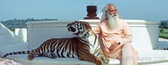 Satchidananda Saraswati Ji With Tiger