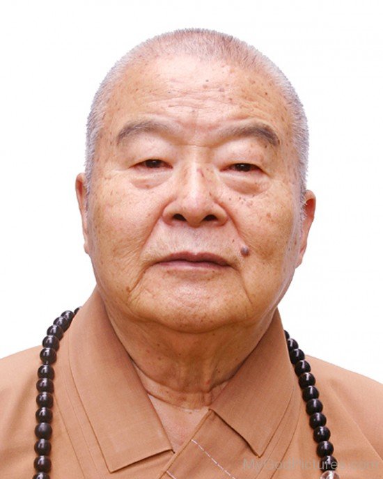 The Venerable Master Hsing Yun (¬P¶³¤j®v)