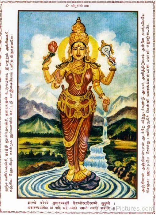 Image Of Goddess Bhavani