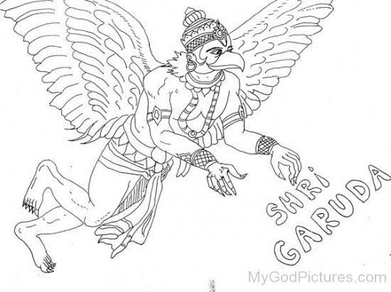 Lord Garuda Sketch