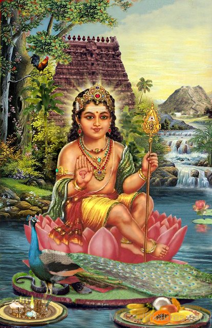 Lord Kartikeya Image