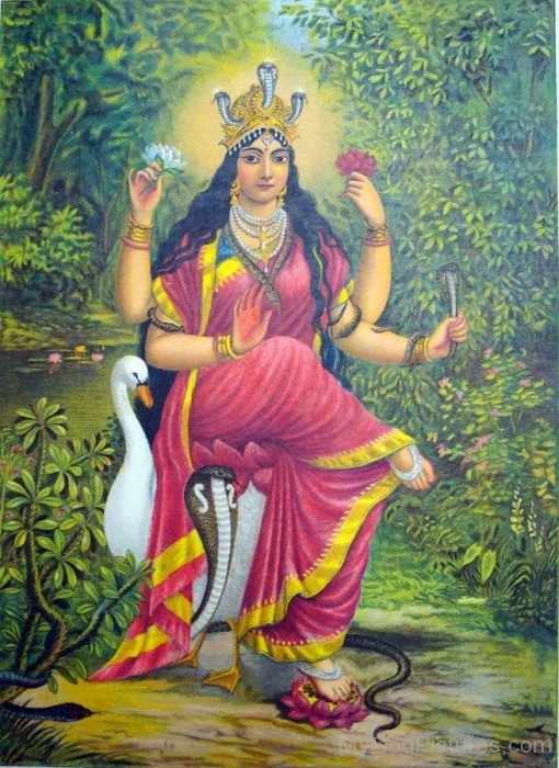 Picture Of Goddess Manasa