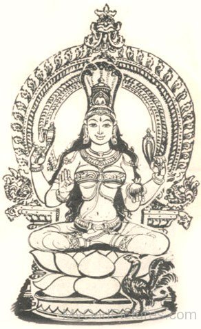 Sketch Of Goddess Manasa