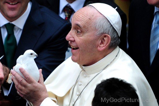 Pope Francis Holding Pigeon