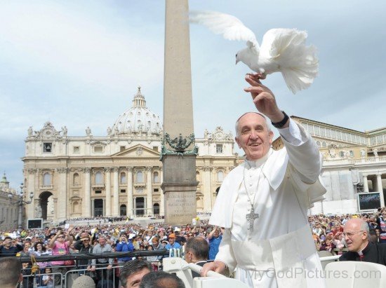 Pope Francis With Pigeon