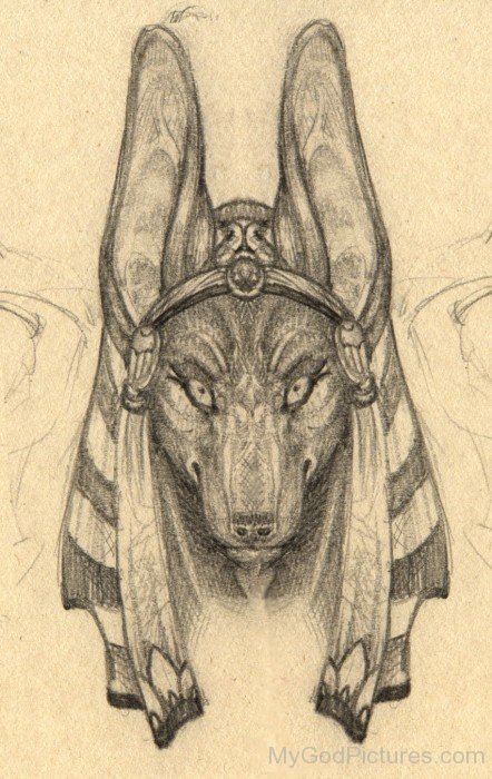 Drawing Of God Anubis-lam707