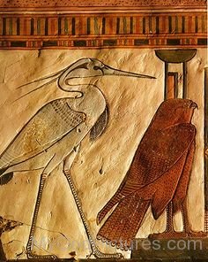 Egyptian Mythology Bennu-gv310