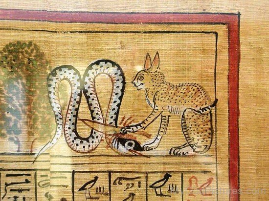 Portrait Of Apep And Ra As Cat-nb514