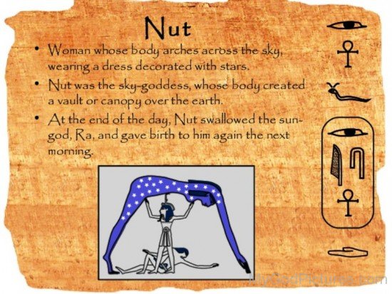 About Goddess Nut-yt501