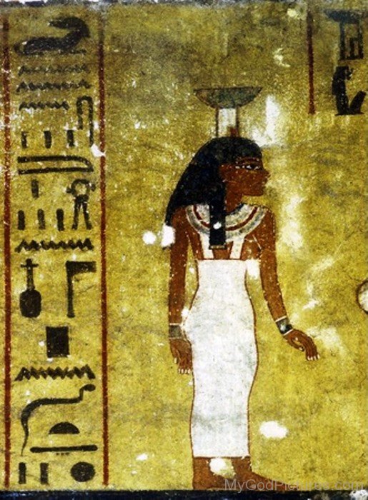 Nephthys Image-li812