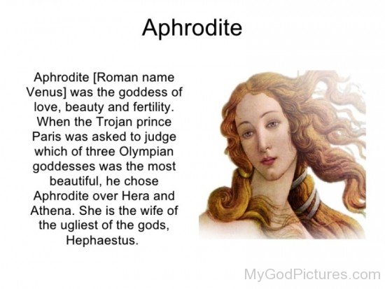 About Aphrodite-wd401