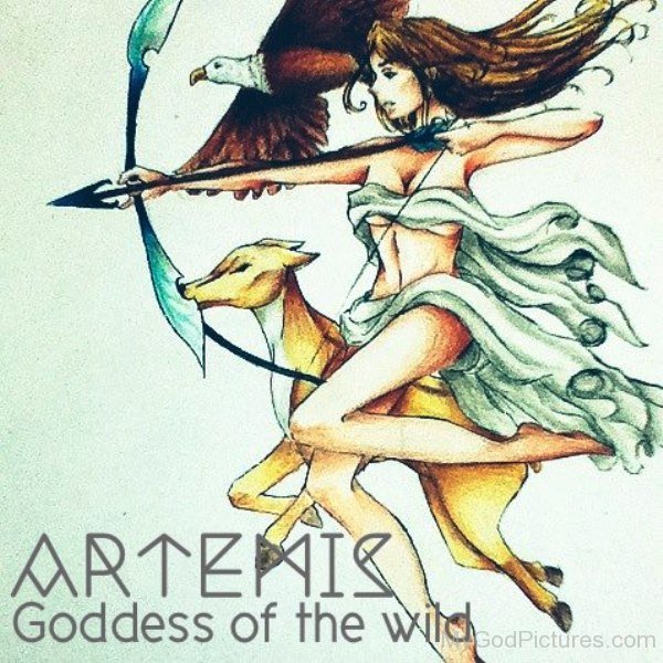 greek goddesses artemis drawing