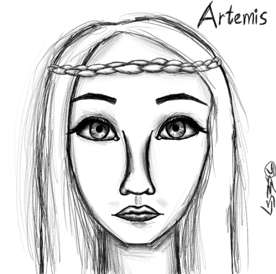 Artemis-ds412