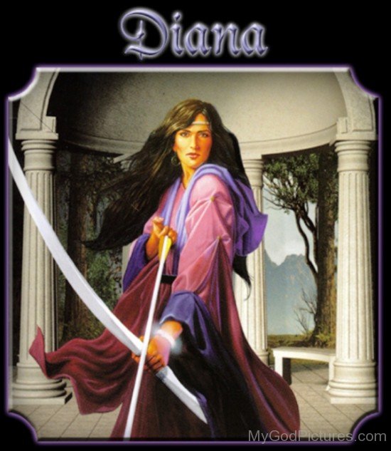 Diana-vc110