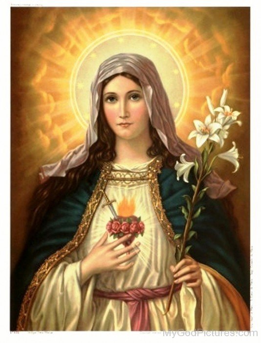 Frame Picture Of Goddess Mary-tr801