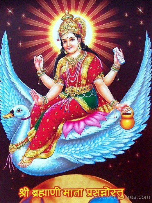 Goddess Brahmani Image-hj65