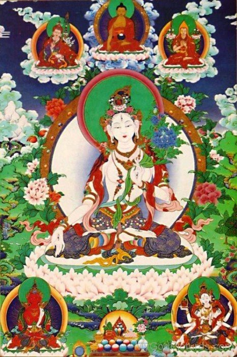 Goddess White Tara Picture-gb3416