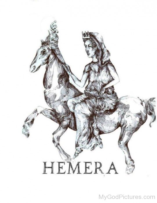Hemera-dx308