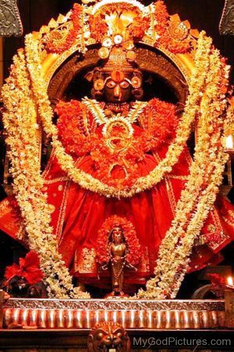 Image Of Goddess Shantadurga-wq13