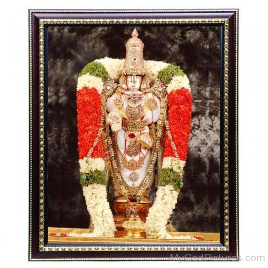 Lord Venkateswara Frame Photo-fd307