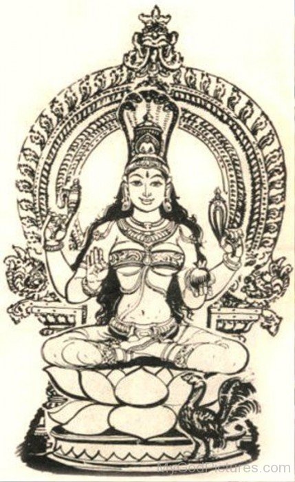 Sketch Of Padmavati-th208