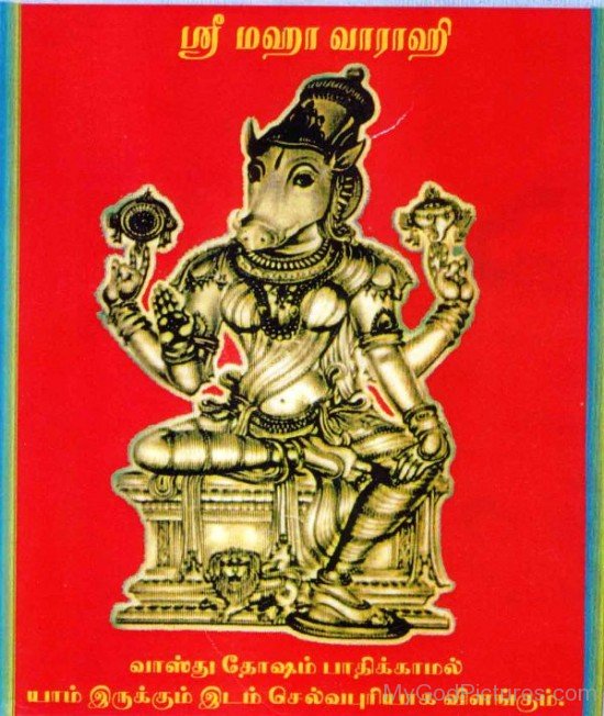 Varahi Goddess Image-fd312