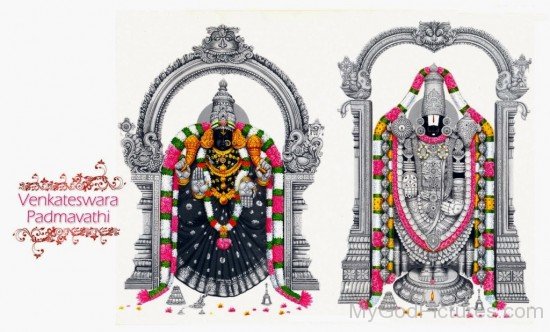 Venkateswara And Padmavathi-fd325